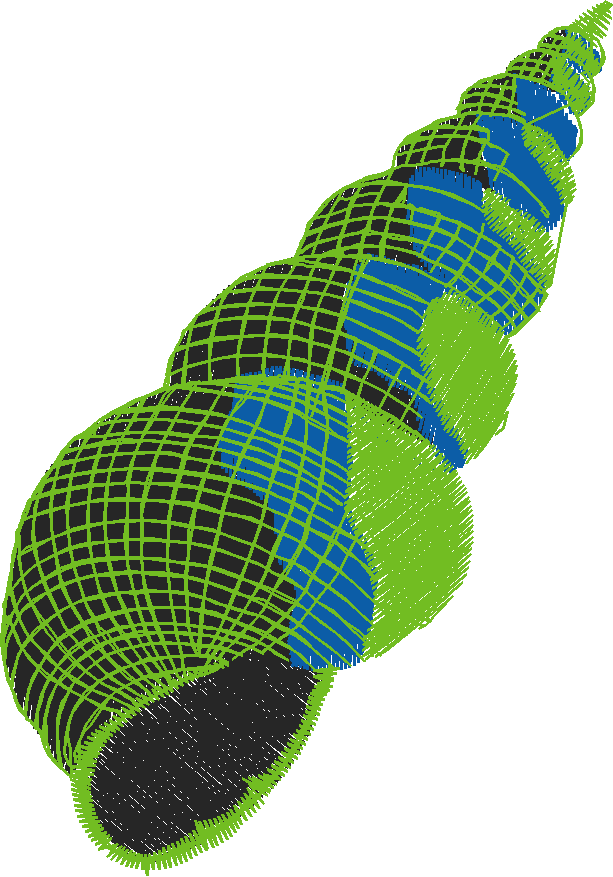 Placket & Collar 2 (29)