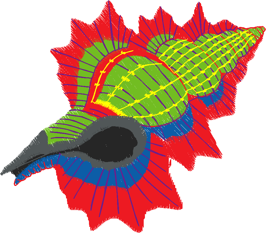 Placket & Collar 2 (31)