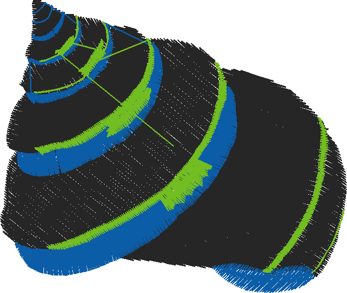 Placket & Collar 2 (33)