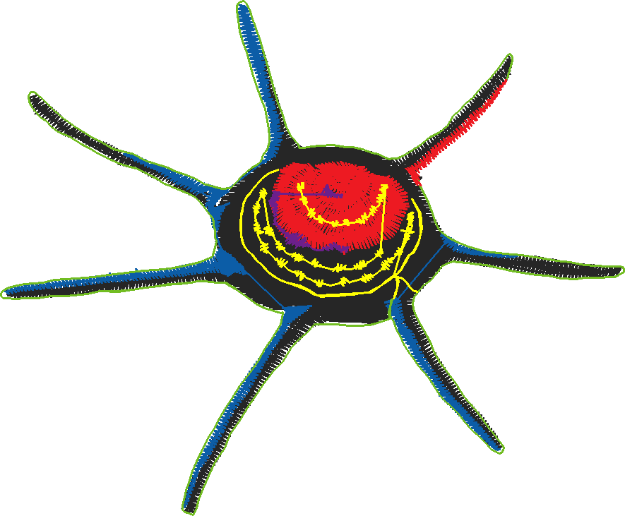 Placket & Collar 2 (35)