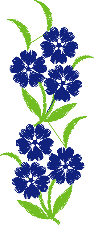 Placket & Collar 2 (5)