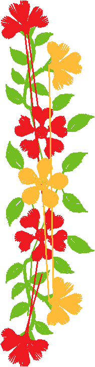 Placket & Collar 3  (1)