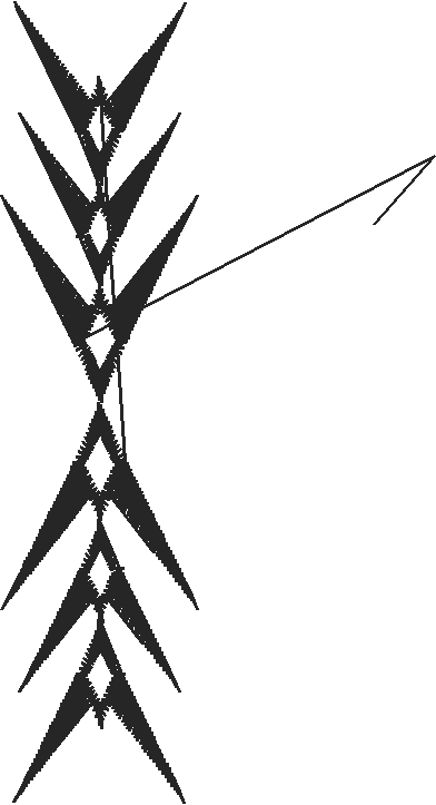 Placket & Collar 3  (10)