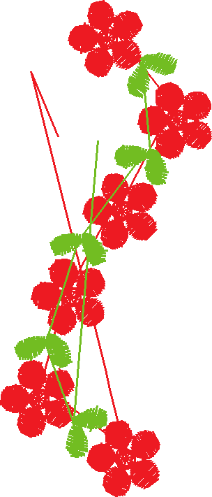 Placket & Collar 3  (8)