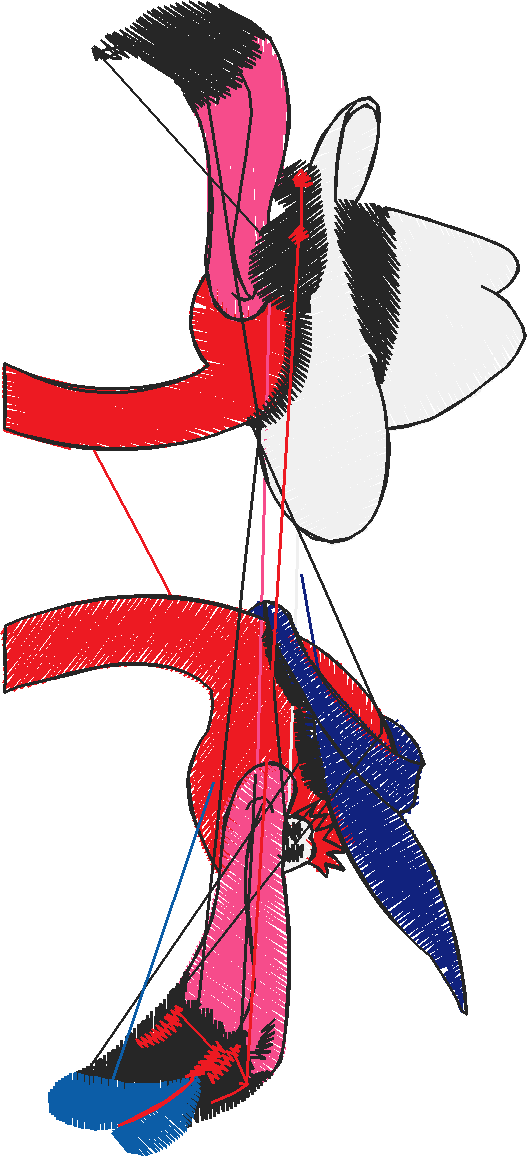 Pocket Toppers 1  (16)