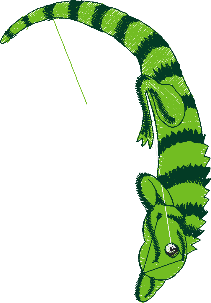 Pocket Toppers 1  (2)