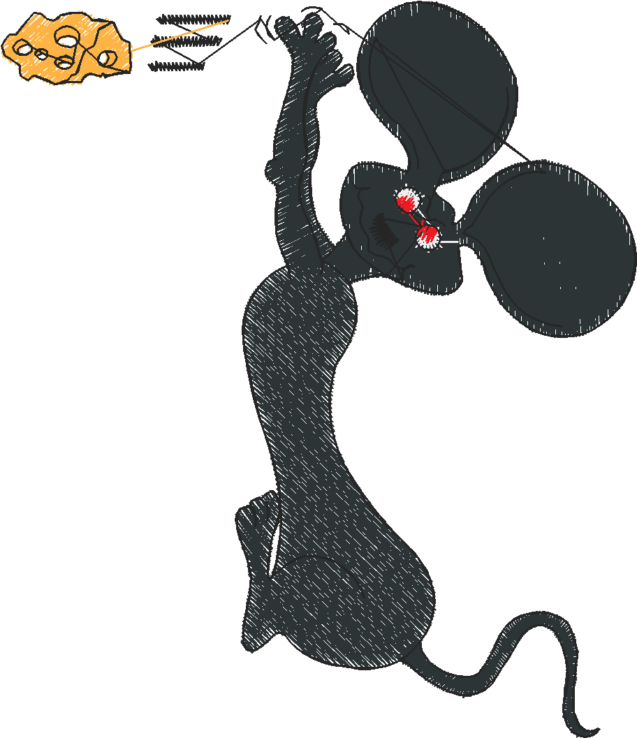 Pocket Toppers 1  (4)