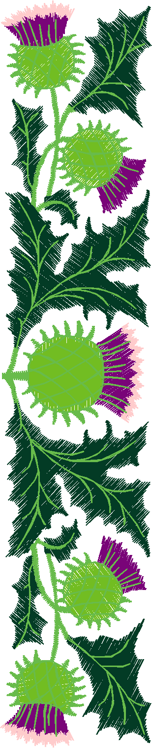 Pocket Toppers 3  (13)