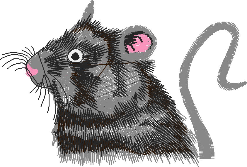 Pocket Toppers 5  (20)