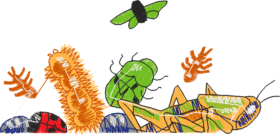 Pocket Toppers 6  (18)