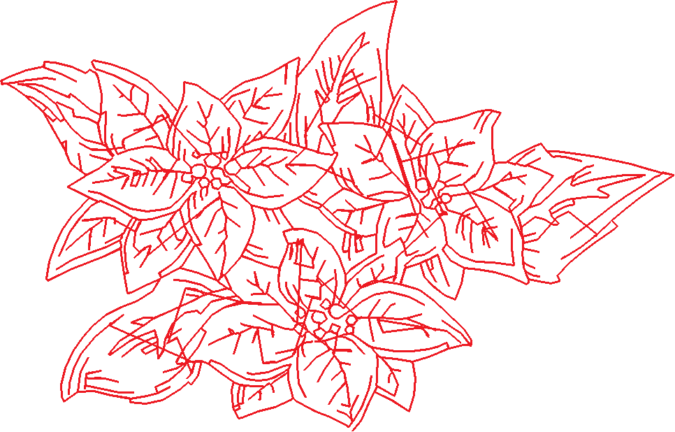 Poinsettias  1 (12)