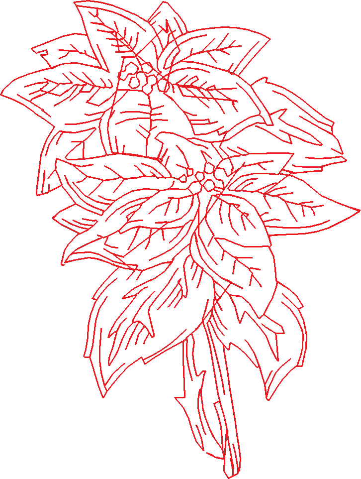 Poinsettias  1 (15)