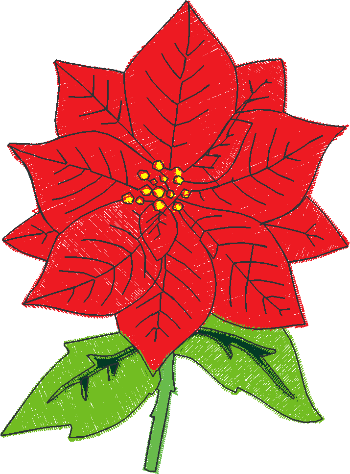 Poinsettias  1 (2)