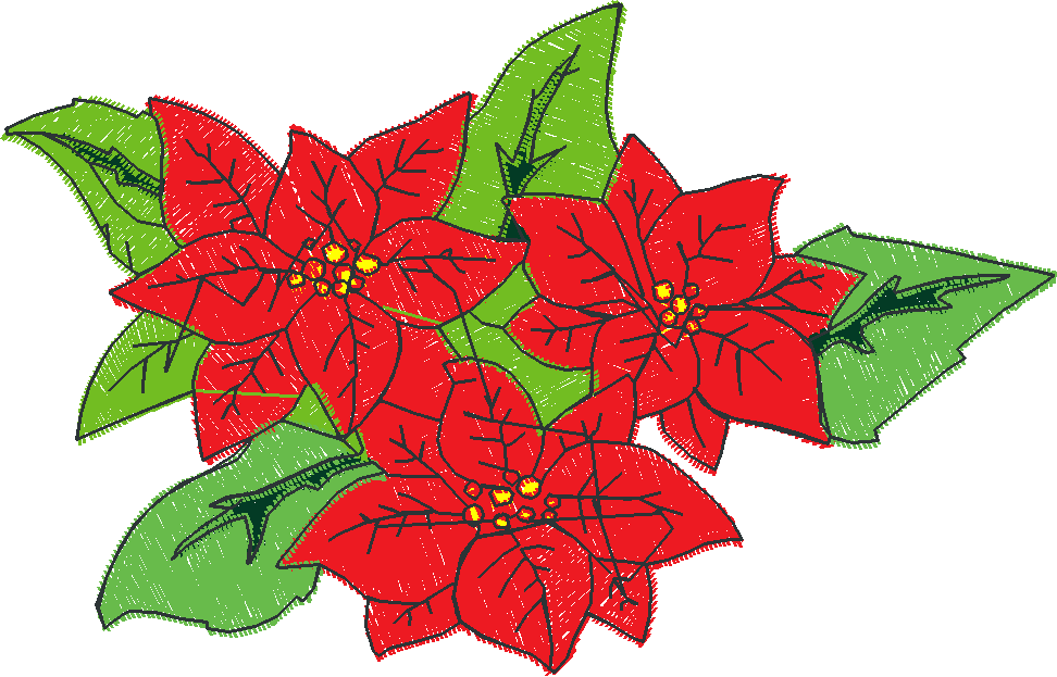 Poinsettias  1 (4)