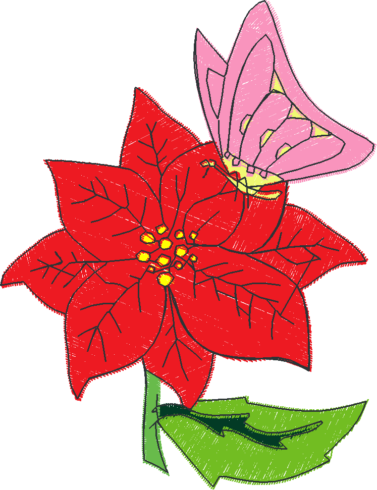 Poinsettias  1 (6)