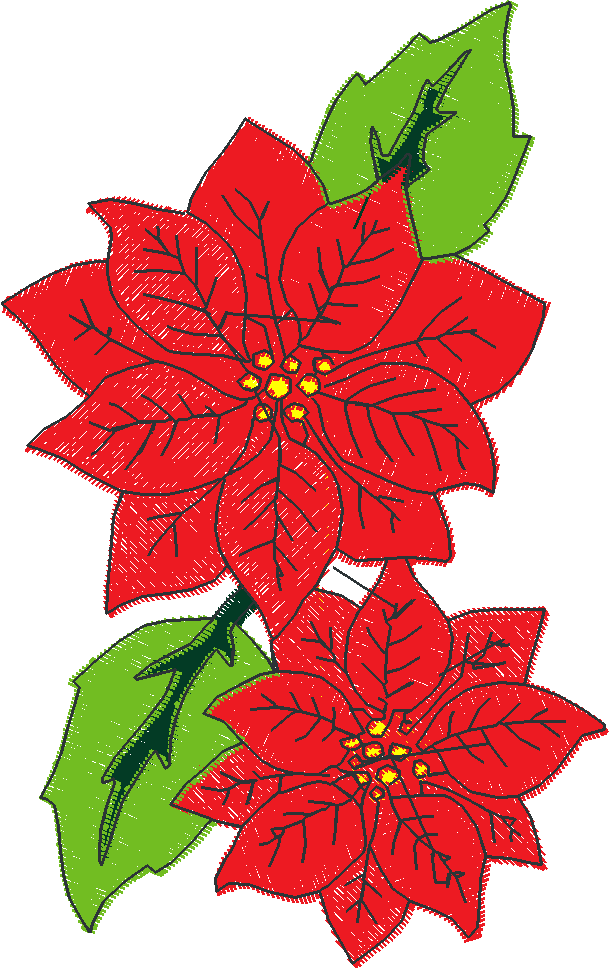 Poinsettias  1 (7)