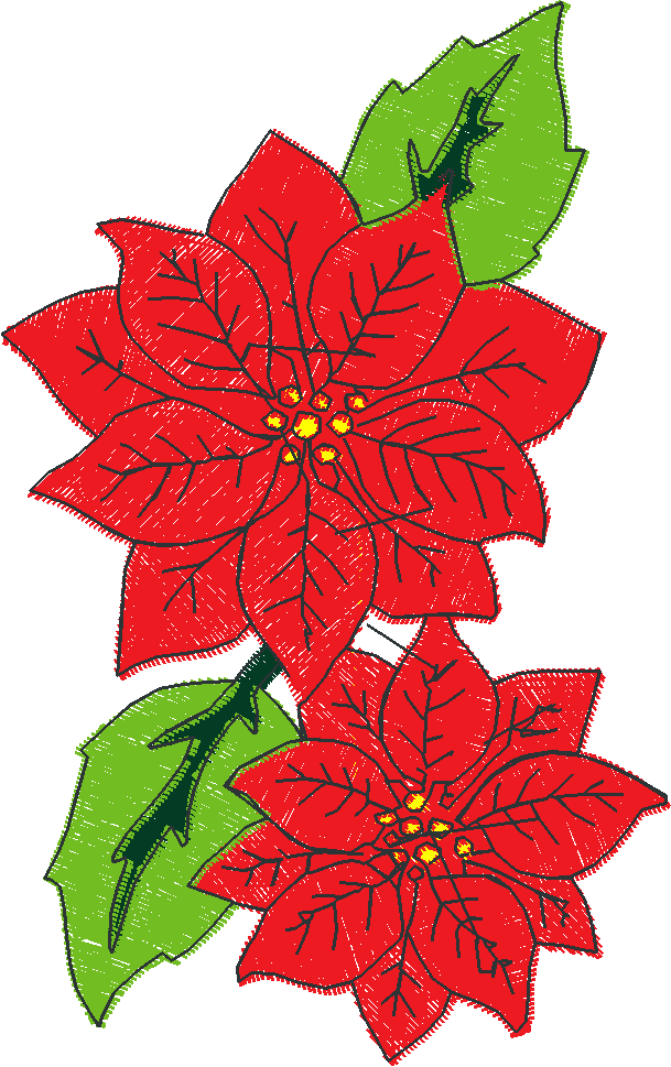 Poinsettias  1 (8)