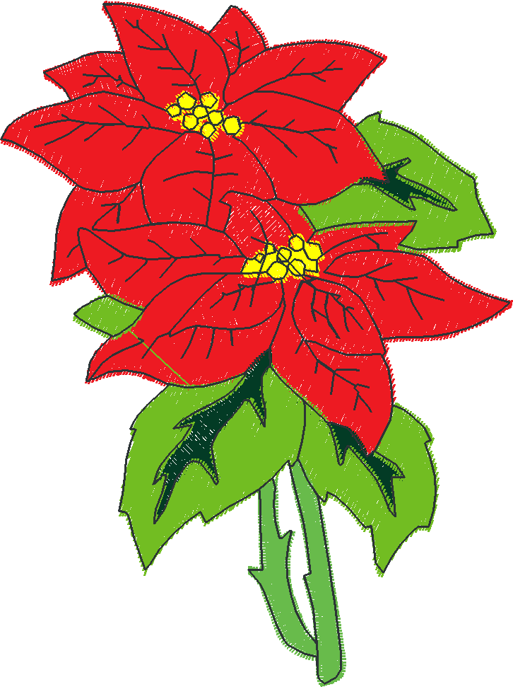 Poinsettias  1 (9)