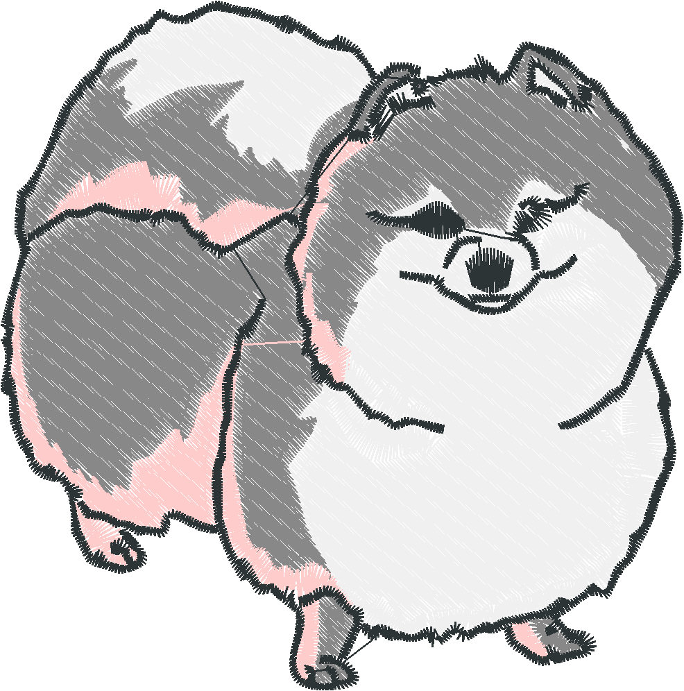 Pomeranians 1  (8)
