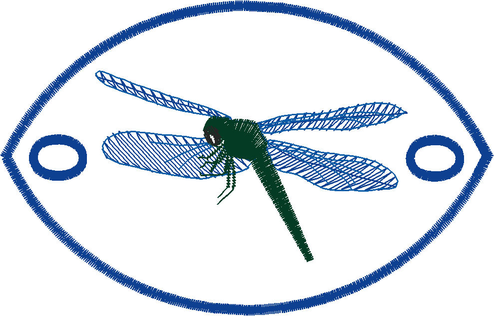 Pony Tail Holders 1 (5)