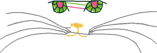 Precious Pets 1  (23)