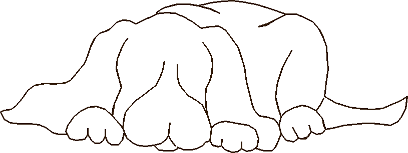 Precious Pets 2  (12)