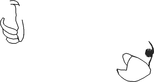 Precious Pets 2  (20)