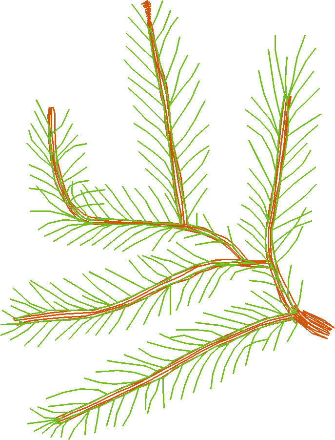 Pressed Leaves 1  (11)