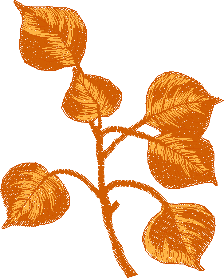 Pressed Leaves 1  (13)