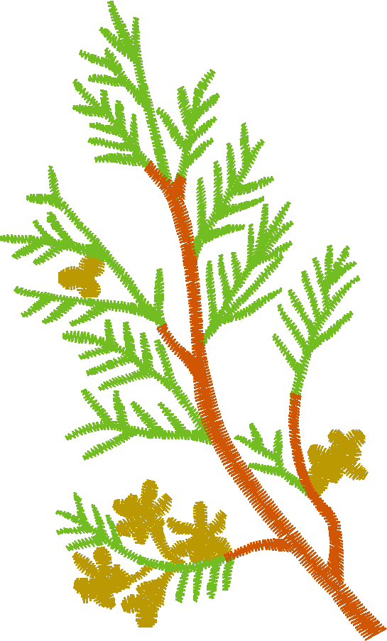 Pressed Leaves 1  (14)