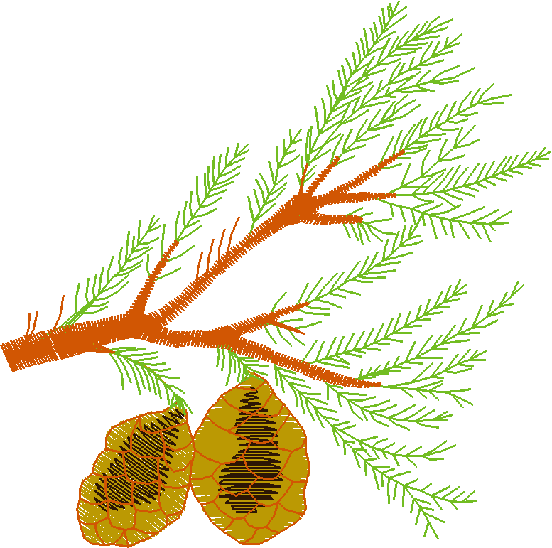 Pressed Leaves 1  (15)