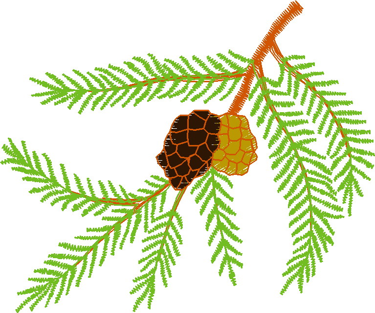 Pressed Leaves 1  (16)