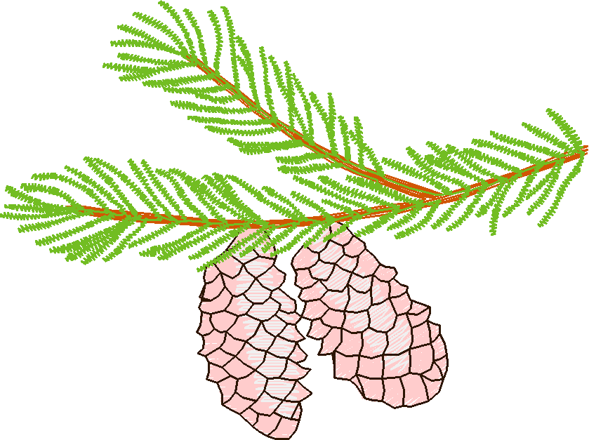 Pressed Leaves 1  (2)