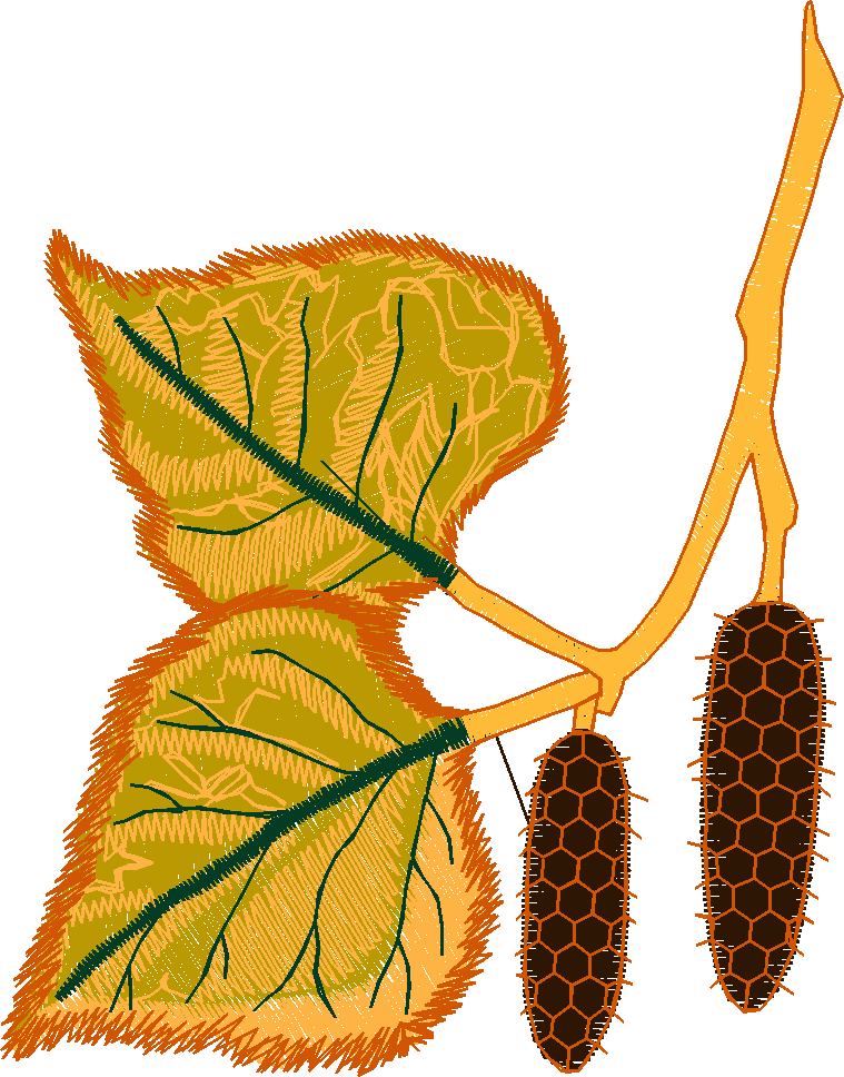 Pressed Leaves 1  (29)