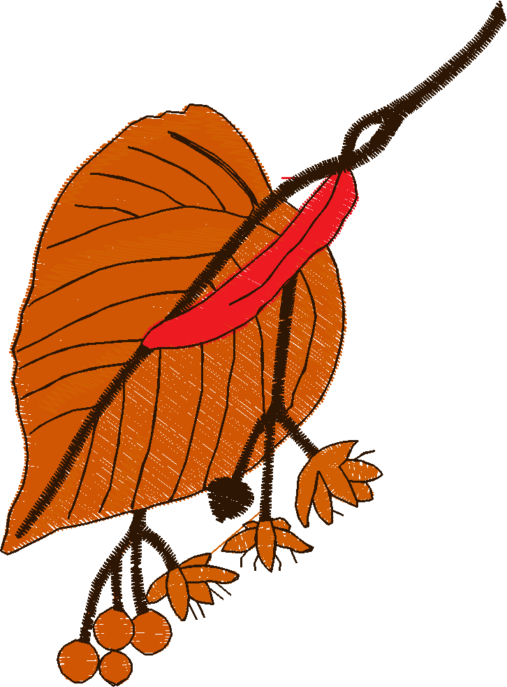 Pressed Leaves 1  (32)