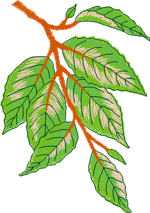 Pressed Leaves 1  (4)