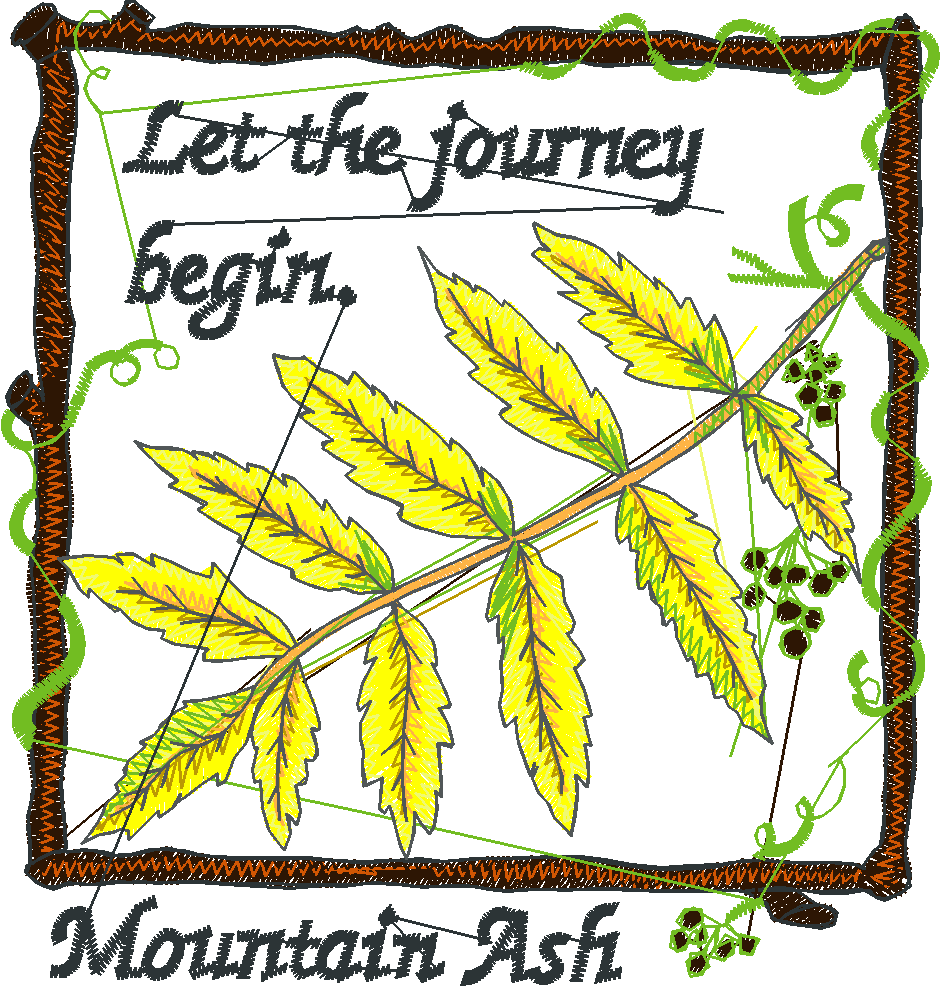 Pressed Leaves 2  (1)