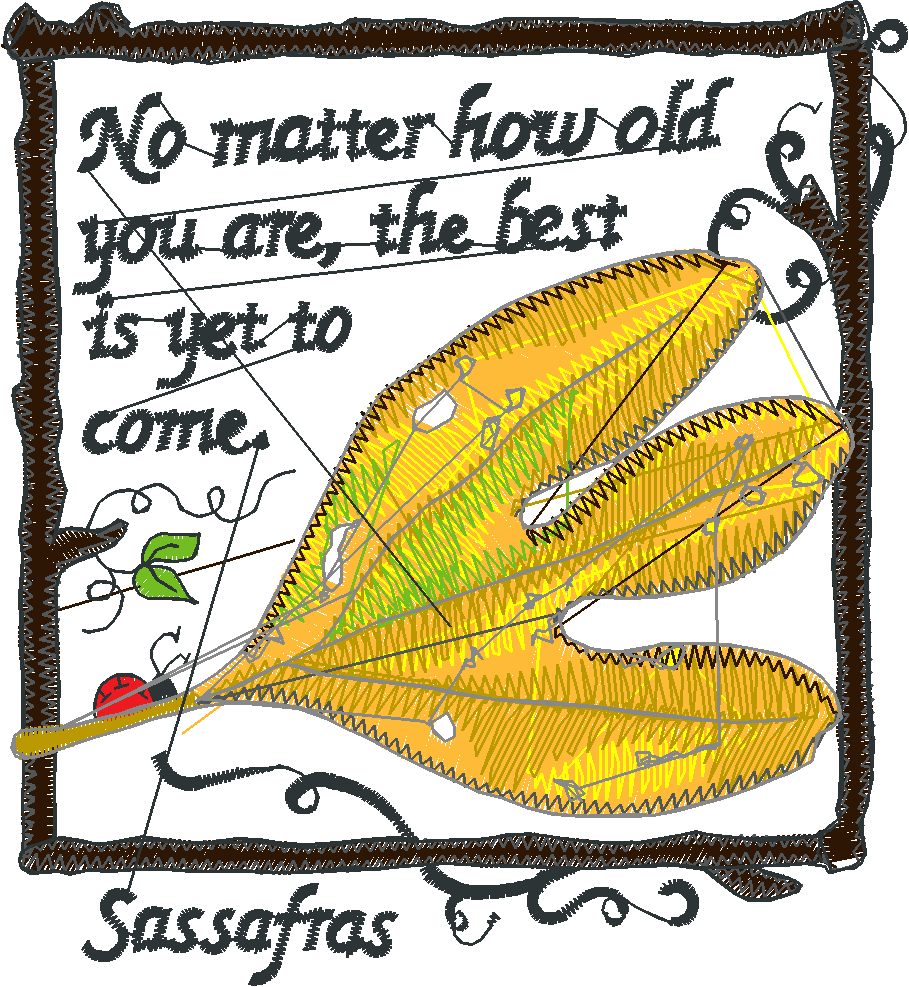 Pressed Leaves 2  (13)