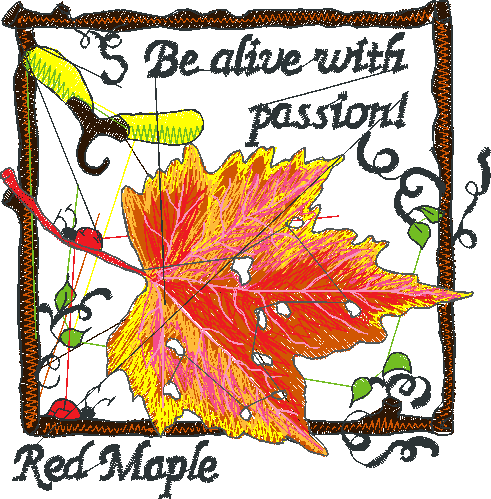 Pressed Leaves 2  (19)