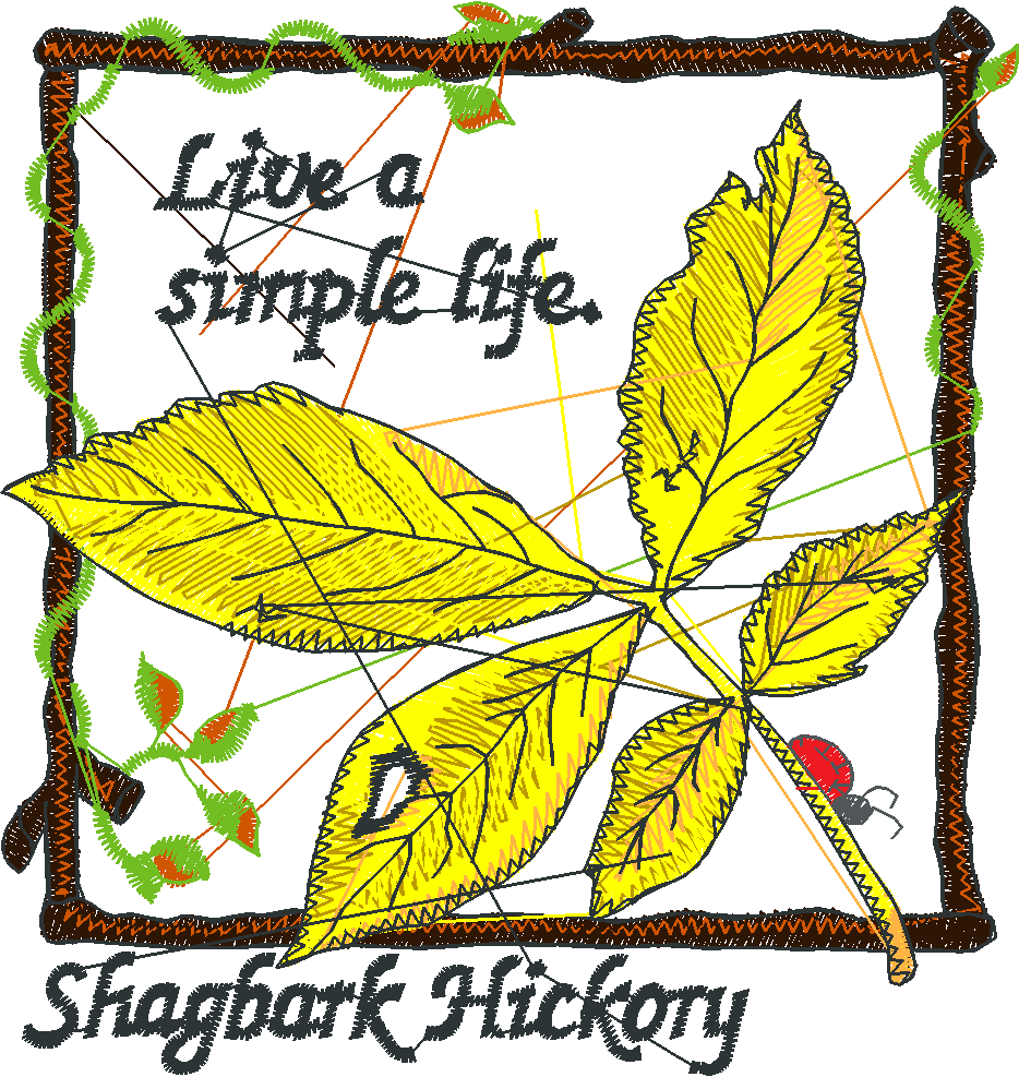 Pressed Leaves 2  (2)