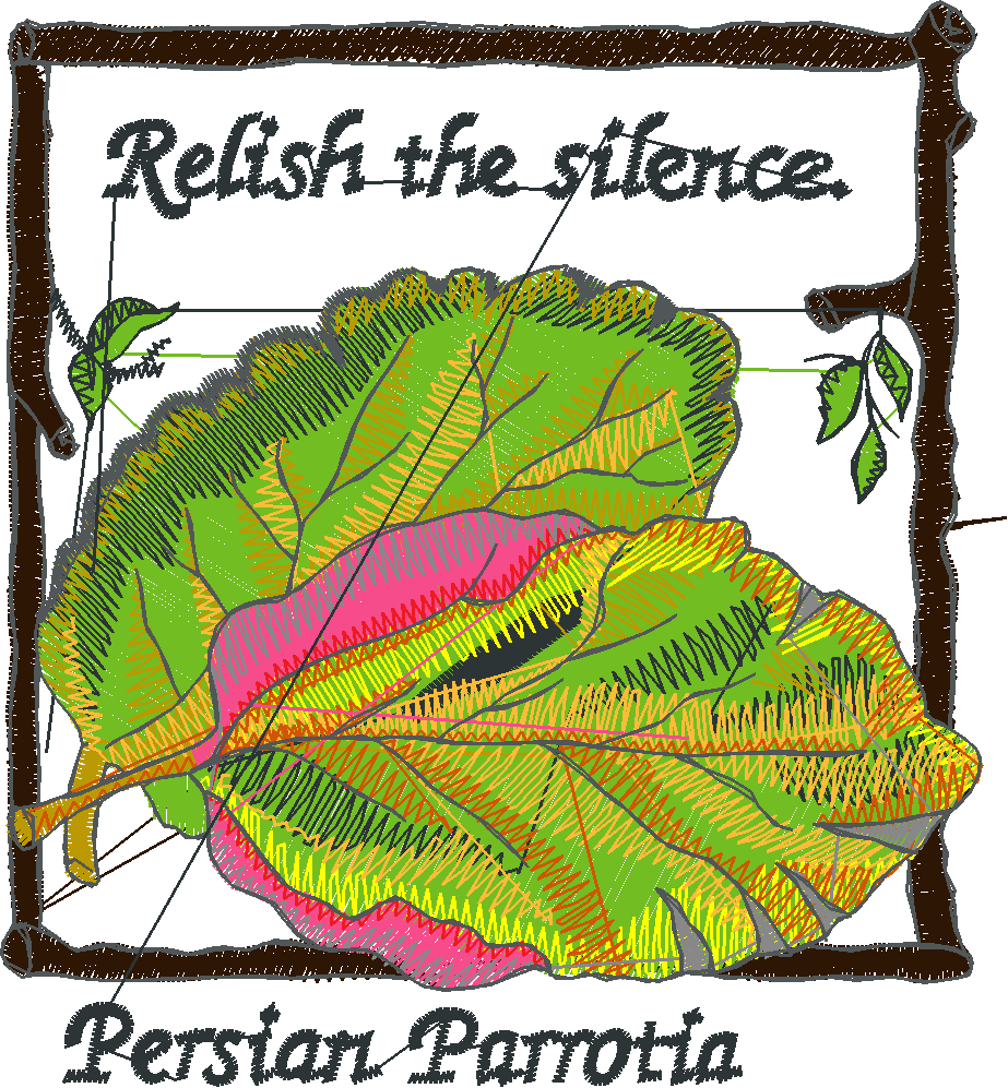 Pressed Leaves 2  (21)