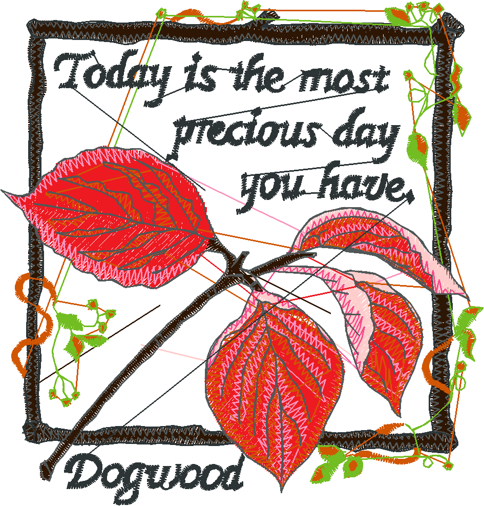 Pressed Leaves 2  (5)