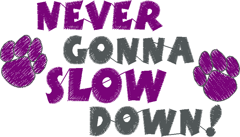 Puppies Rule 1  (22)