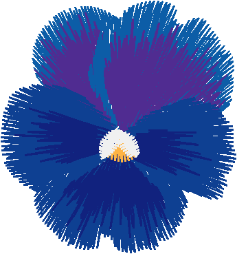 Purple Pansies 1  (2)