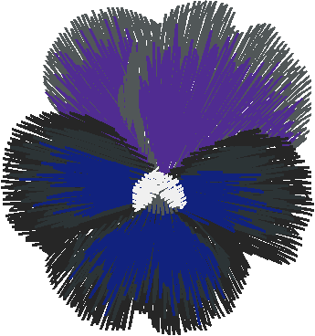 Purple Pansies 1  (6)