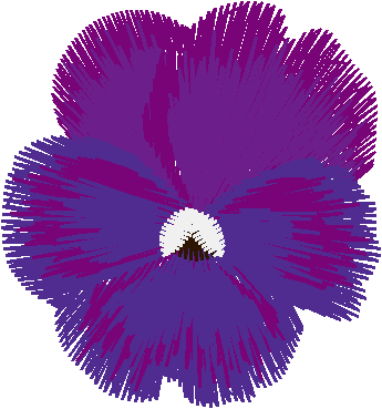Purple Pansies 1  (7)