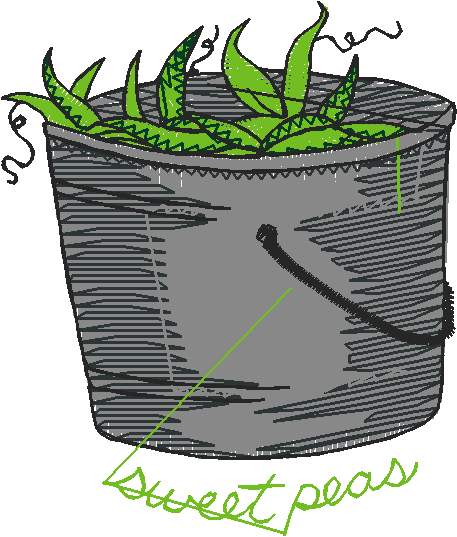 Quaint Afternoon 1  (10)