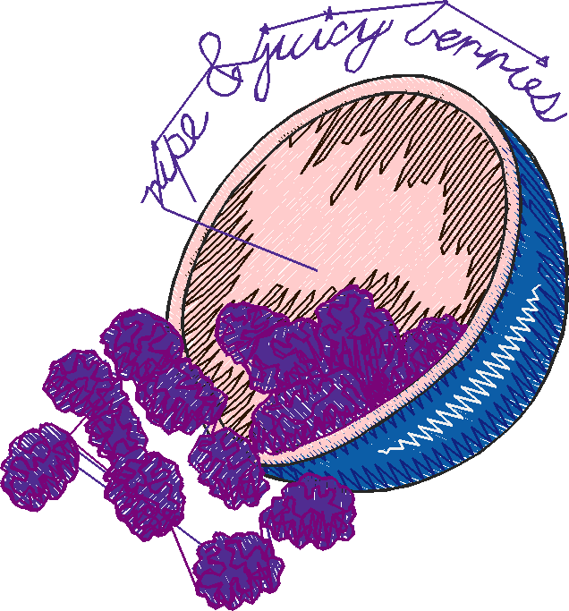 Quaint Afternoon 1  (12)