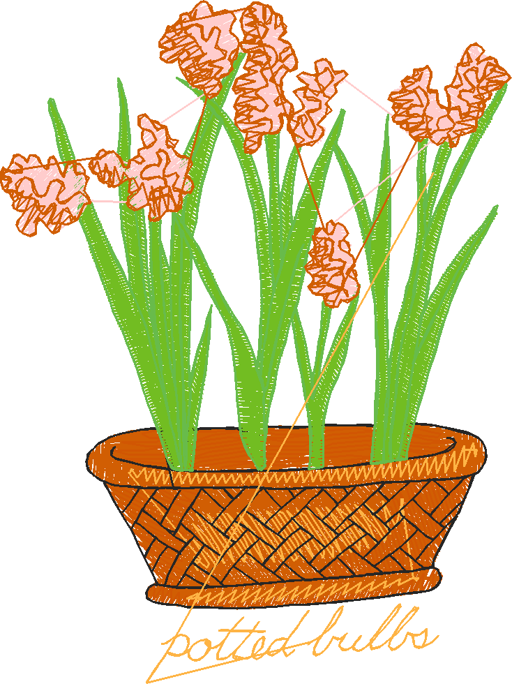 Quaint Afternoon 1  (32)