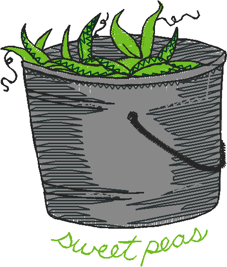 Quaint Afternoon 1  (9)